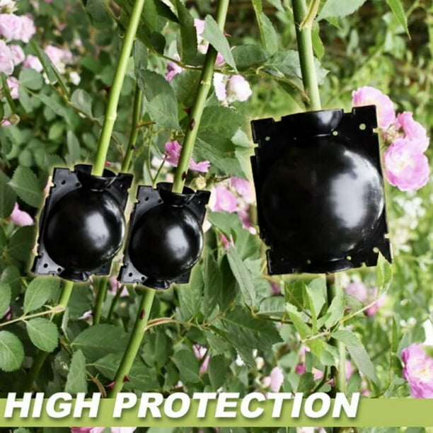Details about   New Plant Rooting Device High Pressure Propagation/Ball Box Growing/Grafting US